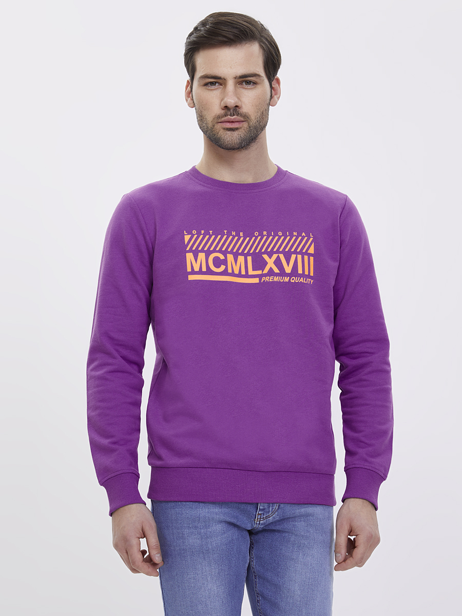 Regular Fit Erkek Sweatshirt