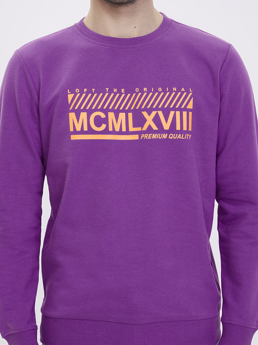 Regular Fit Erkek Sweatshirt
