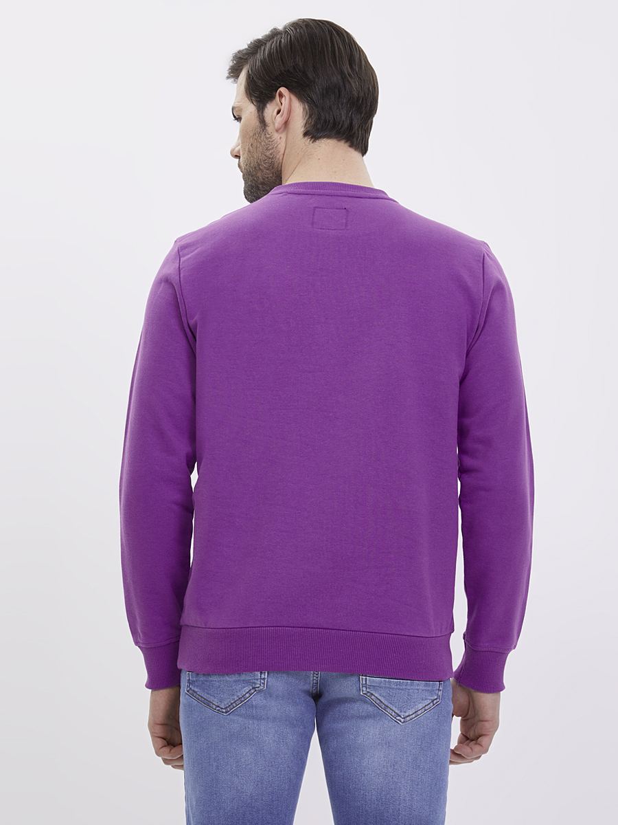 Regular Fit Erkek Sweatshirt