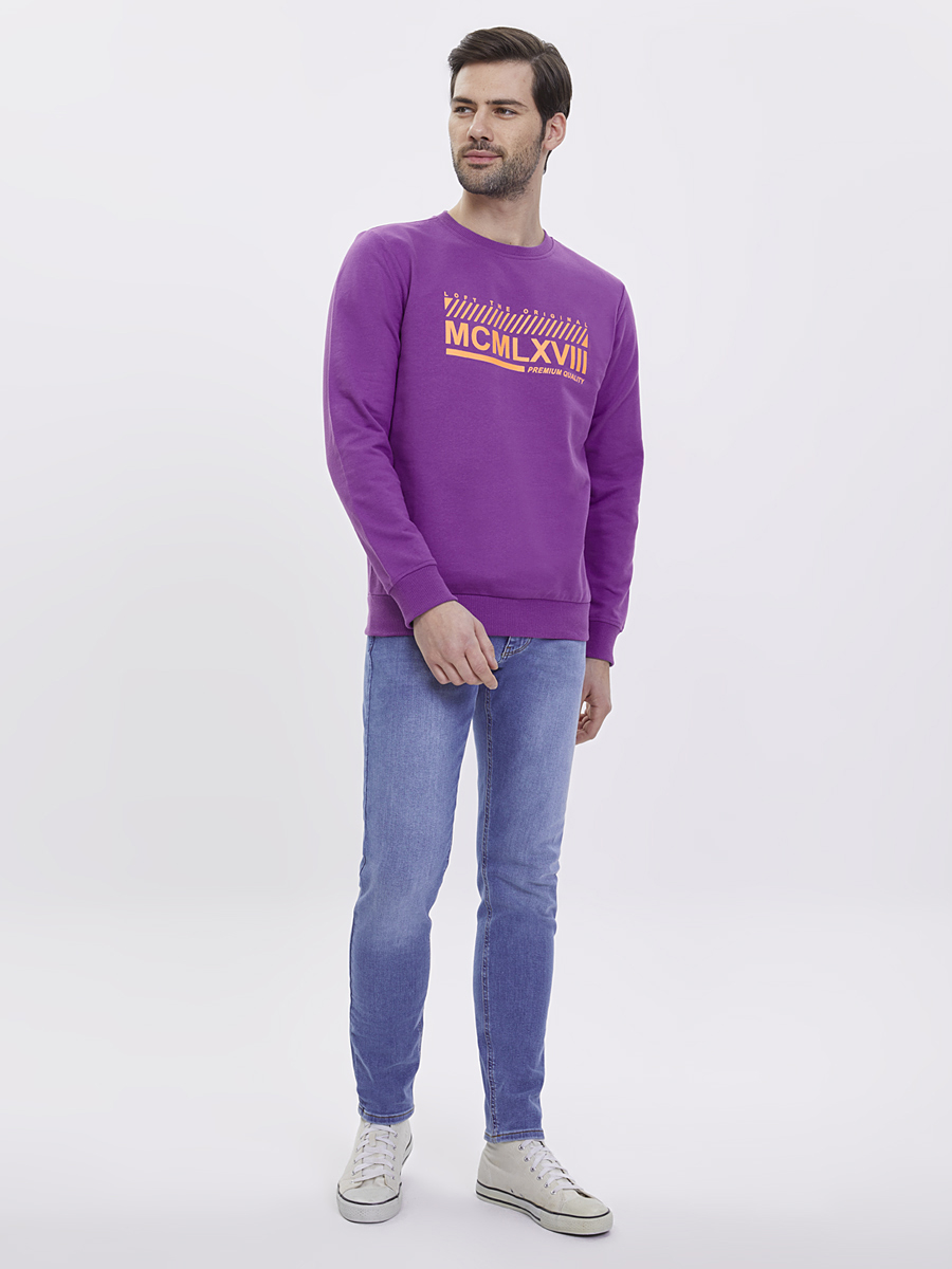 Regular Fit Erkek Sweatshirt