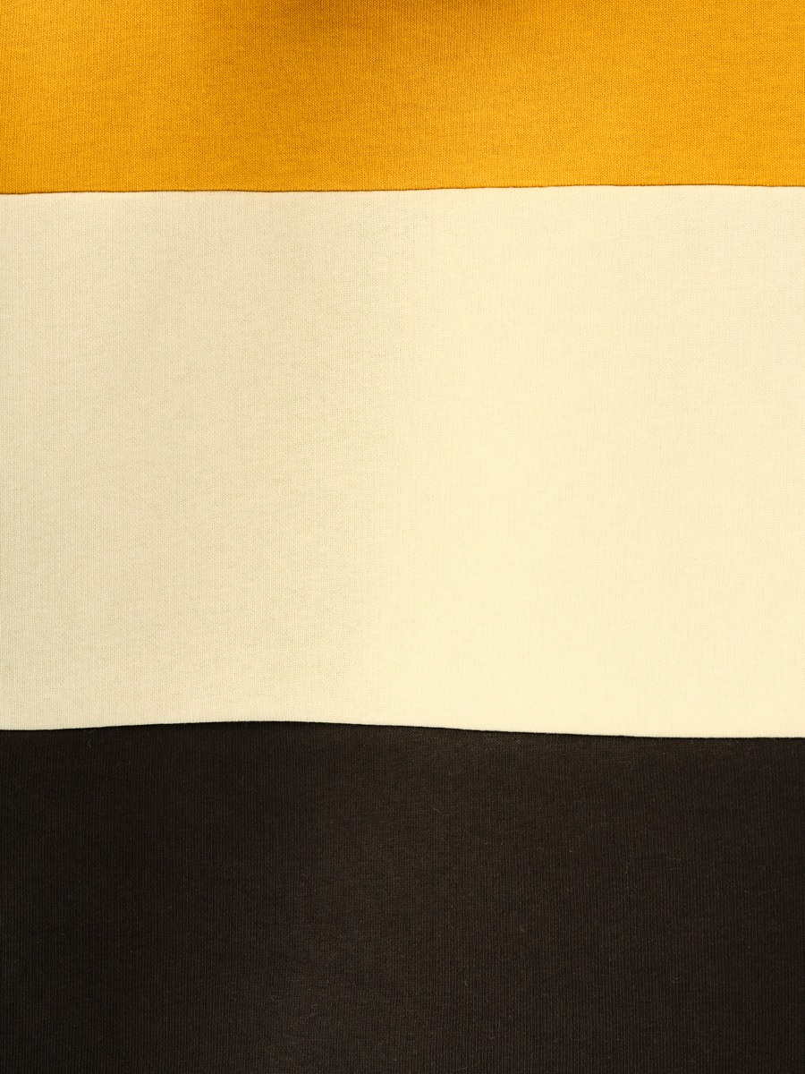 Regular Fit Erkek Sweatshirt