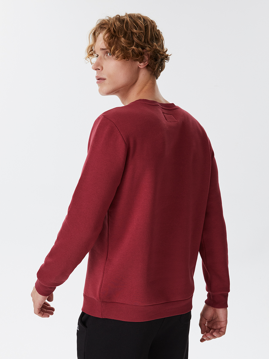 Regular Fit Erkek Sweatshirt