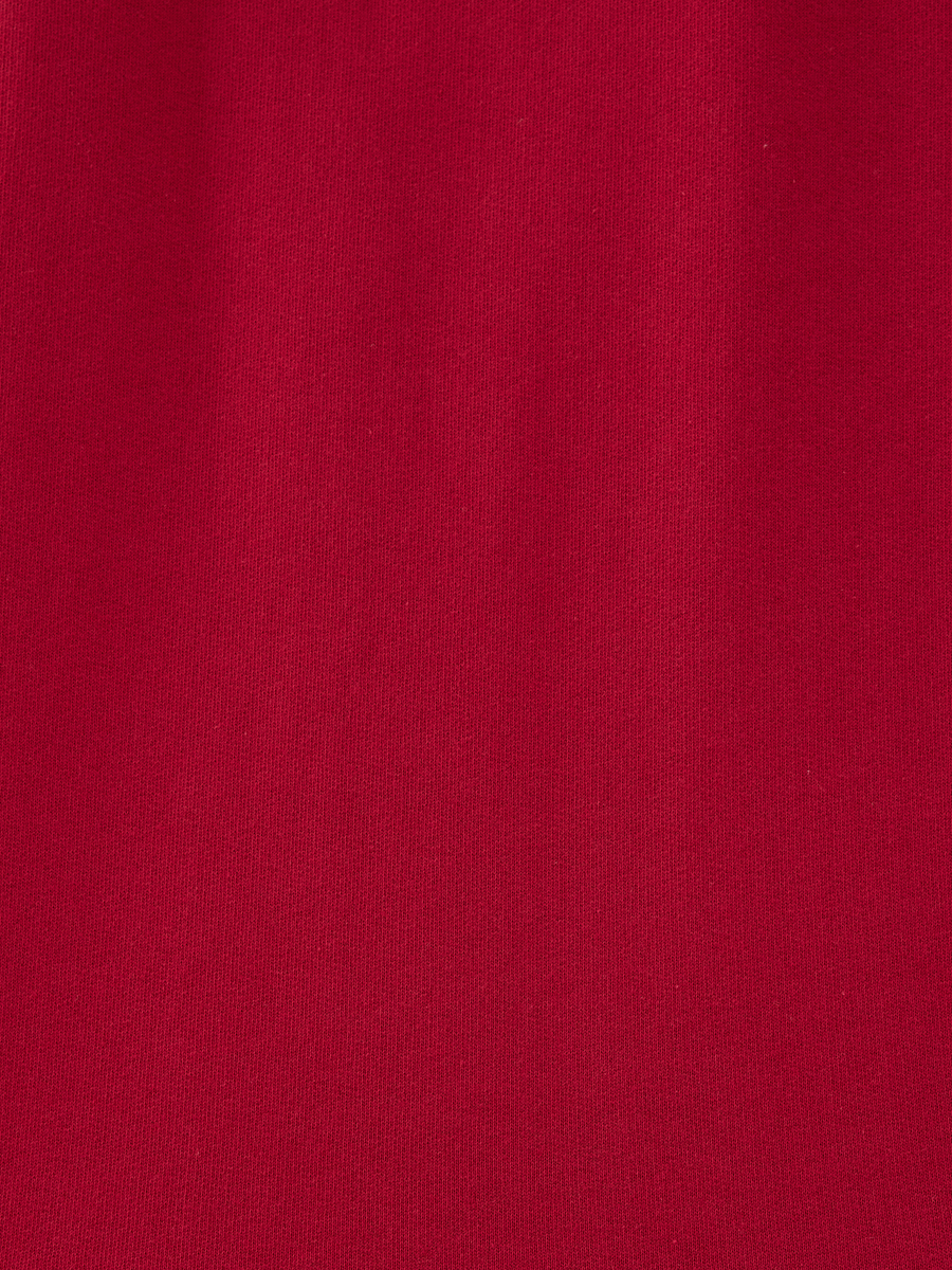 Regular Fit Erkek Sweatshirt