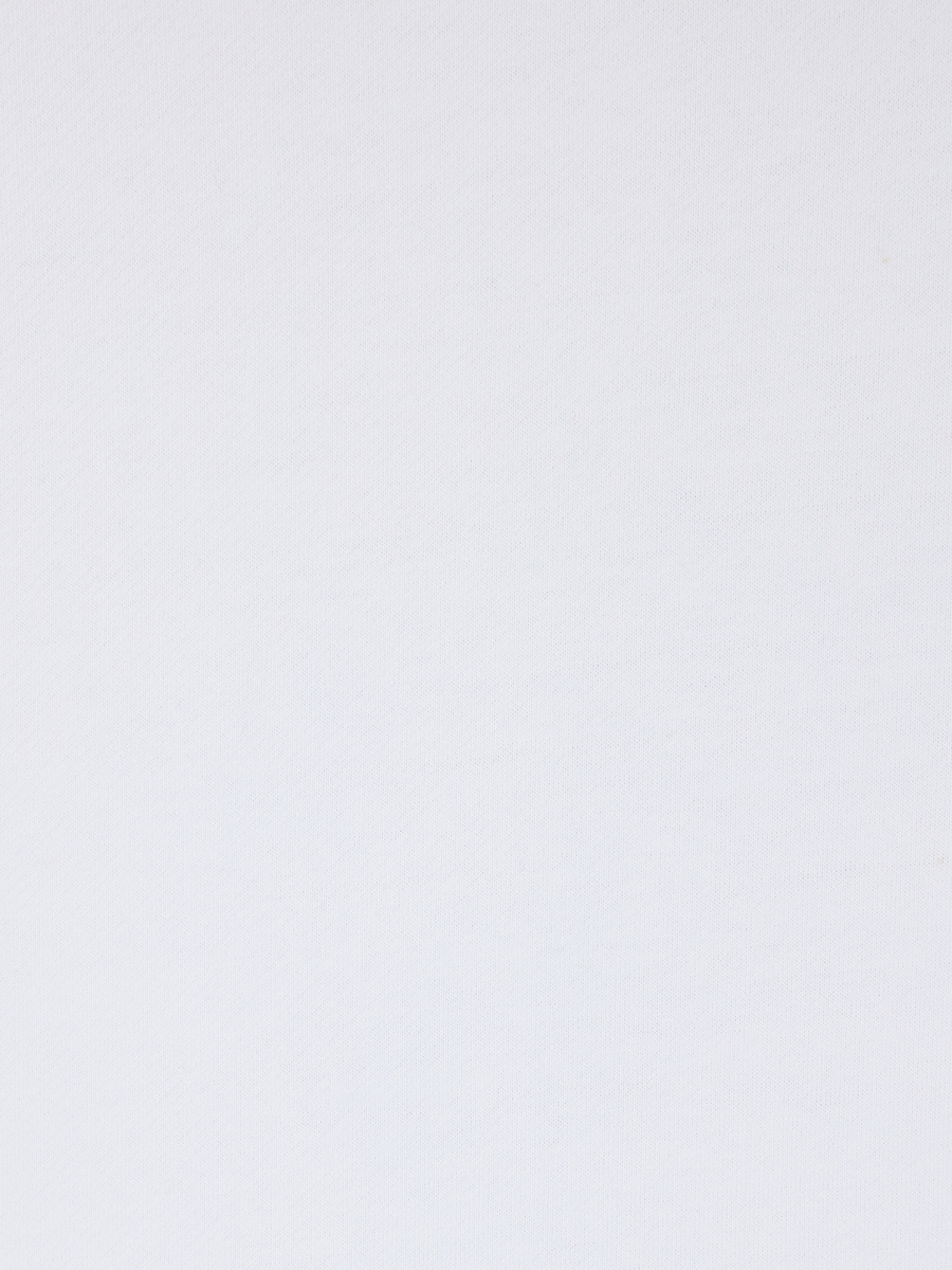 Regular Fit Erkek Sweatshirt