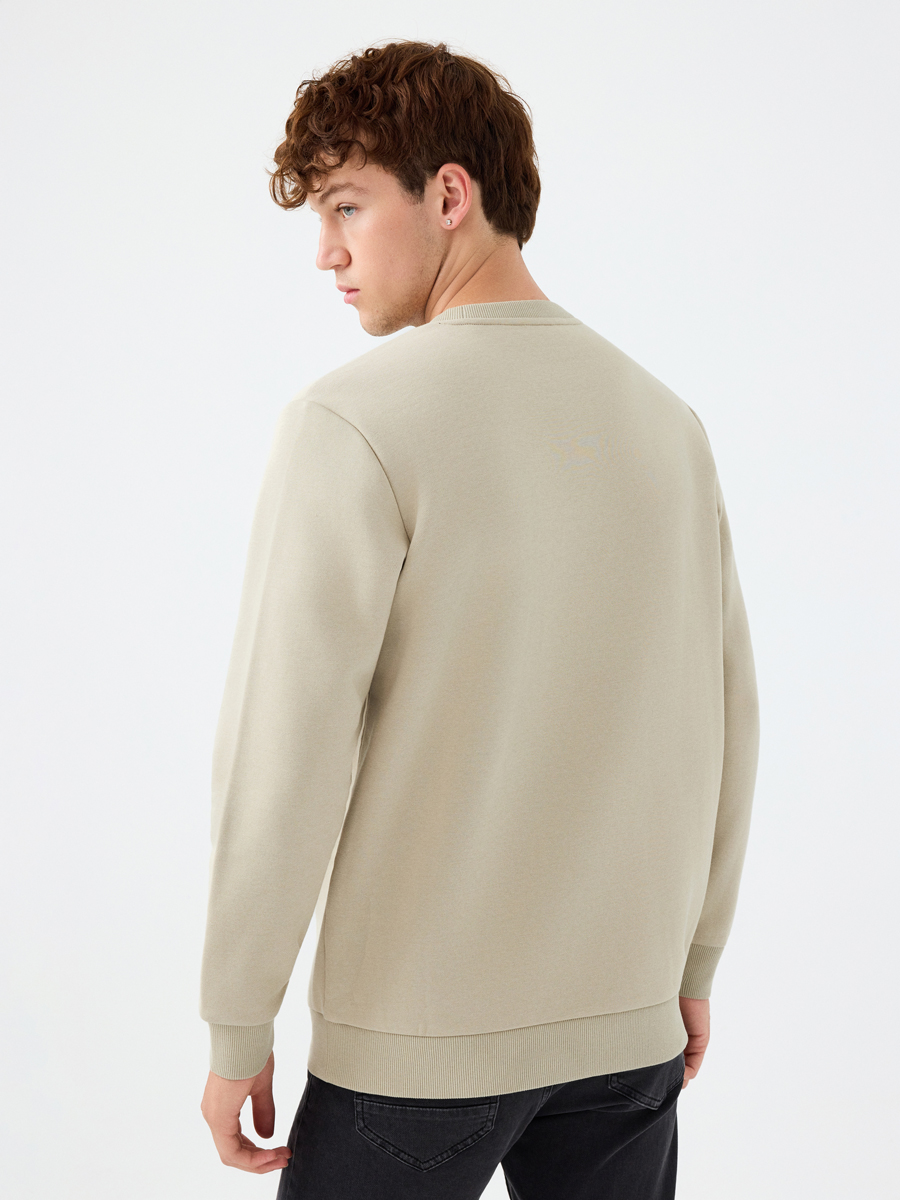 Regular Fit Erkek Sweatshirt