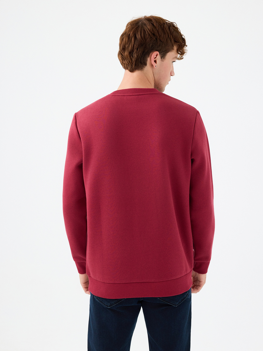 Regular Fit Erkek Sweatshirt