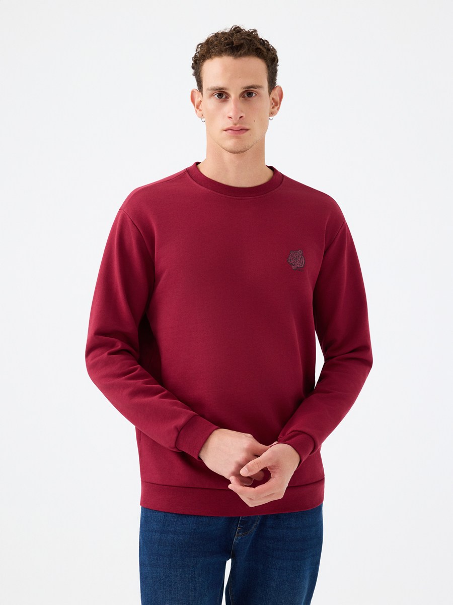 Regular Fit Erkek Sweatshirt