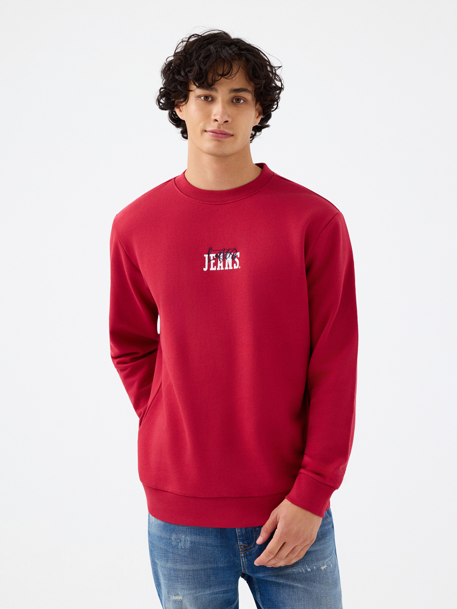 Regular Fit Erkek Sweatshirt