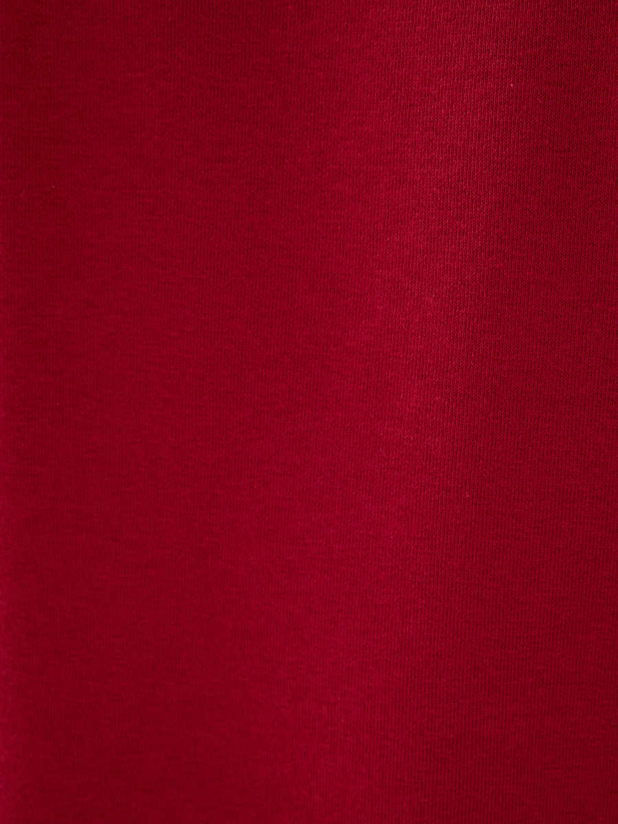 Regular Fit Erkek Sweatshirt