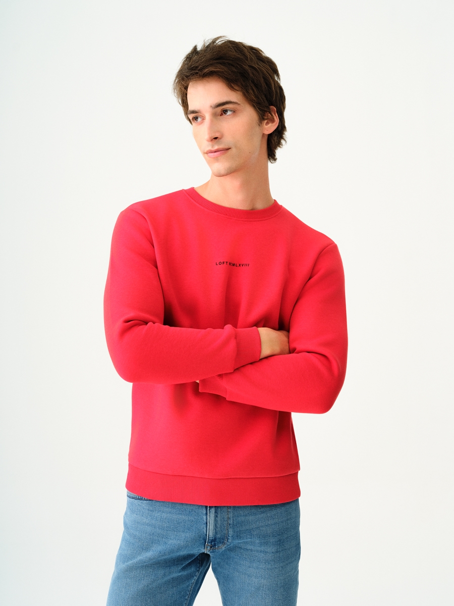 Regular Fit Erkek Sweatshirt