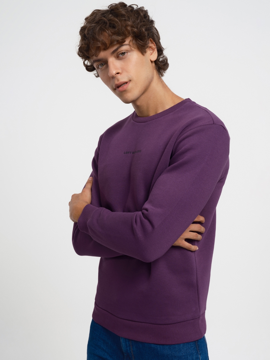 Regular Fit Erkek Sweatshirt