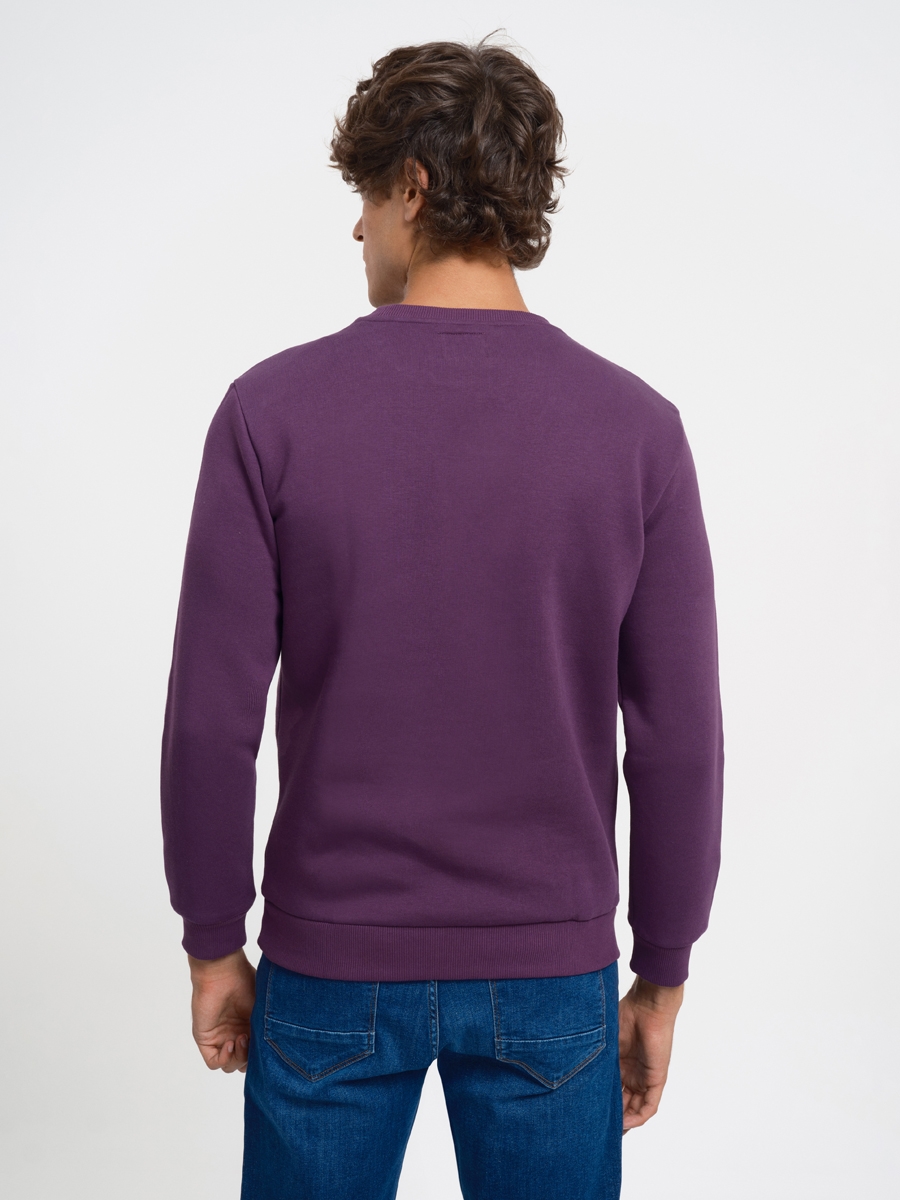 Regular Fit Erkek Sweatshirt