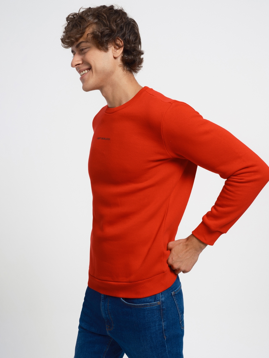 Regular Fit Erkek Sweatshirt