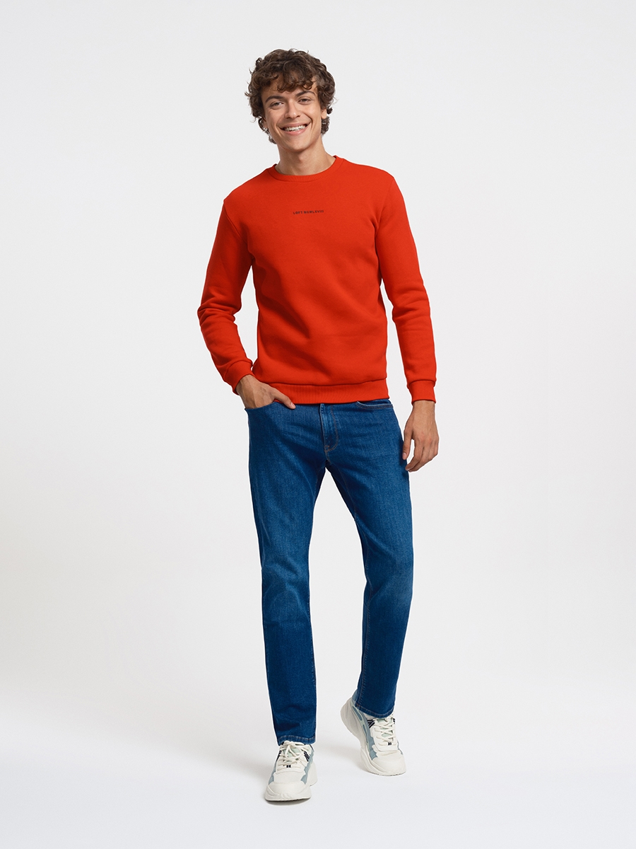 Regular Fit Erkek Sweatshirt