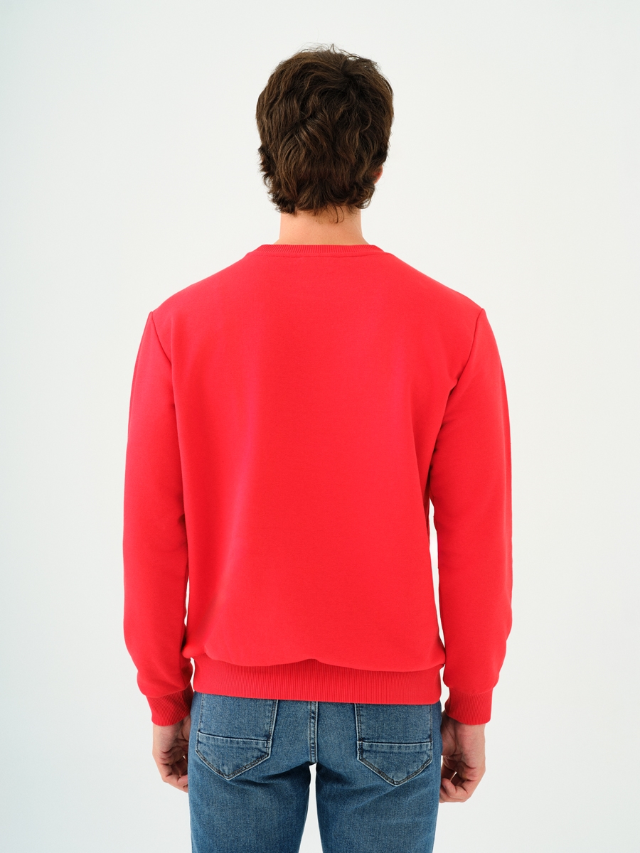 Regular Fit Erkek Sweatshirt