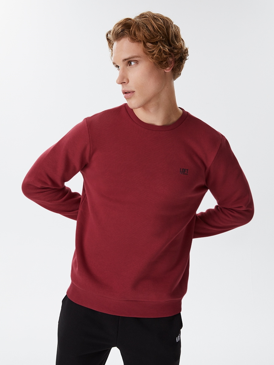 Regular Fit Erkek Sweatshirt