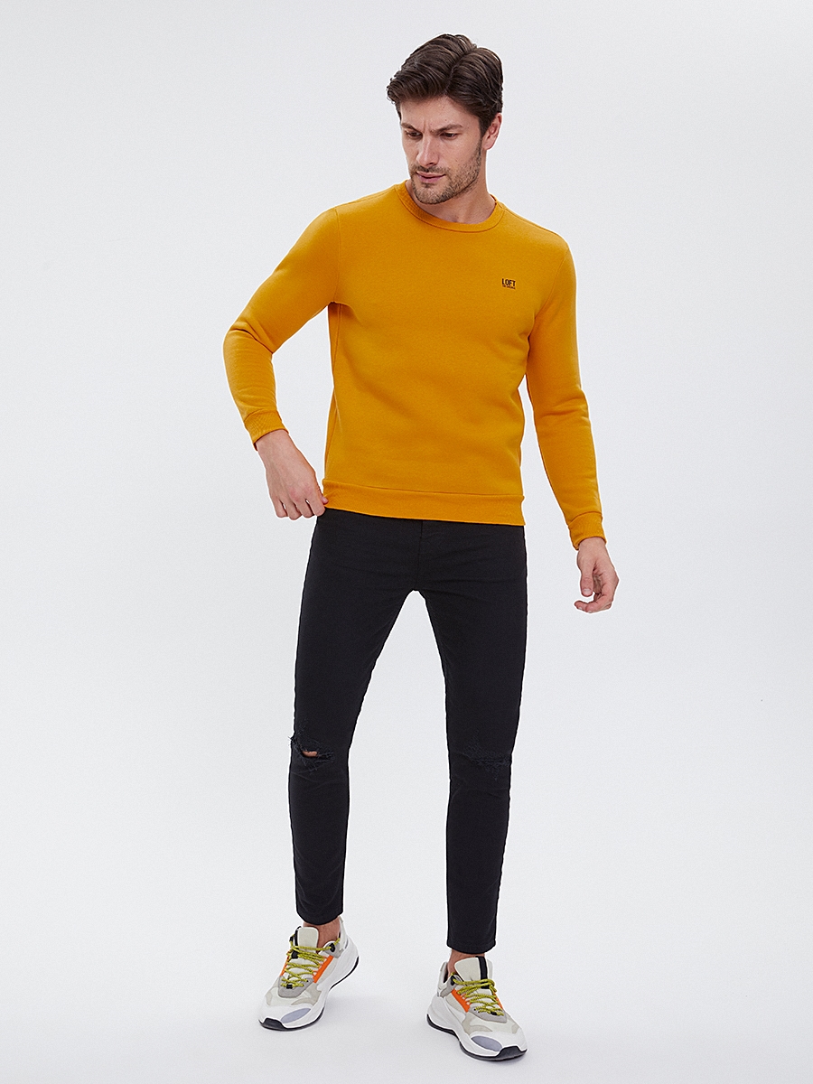 Regular Fit Erkek Sweatshirt