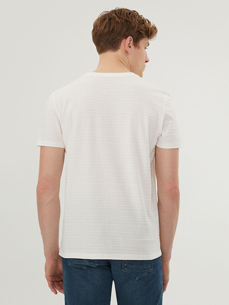 Regular Fit Erkek Tshirt K.kol