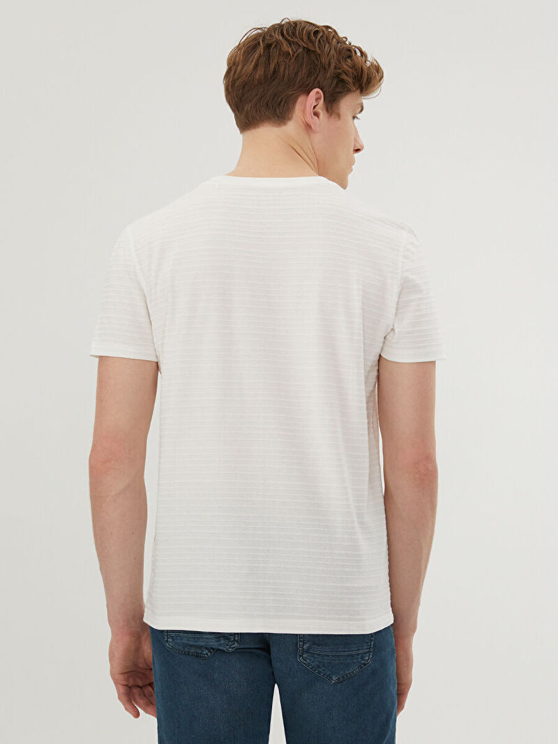 Regular Fit Erkek Tshirt K.kol