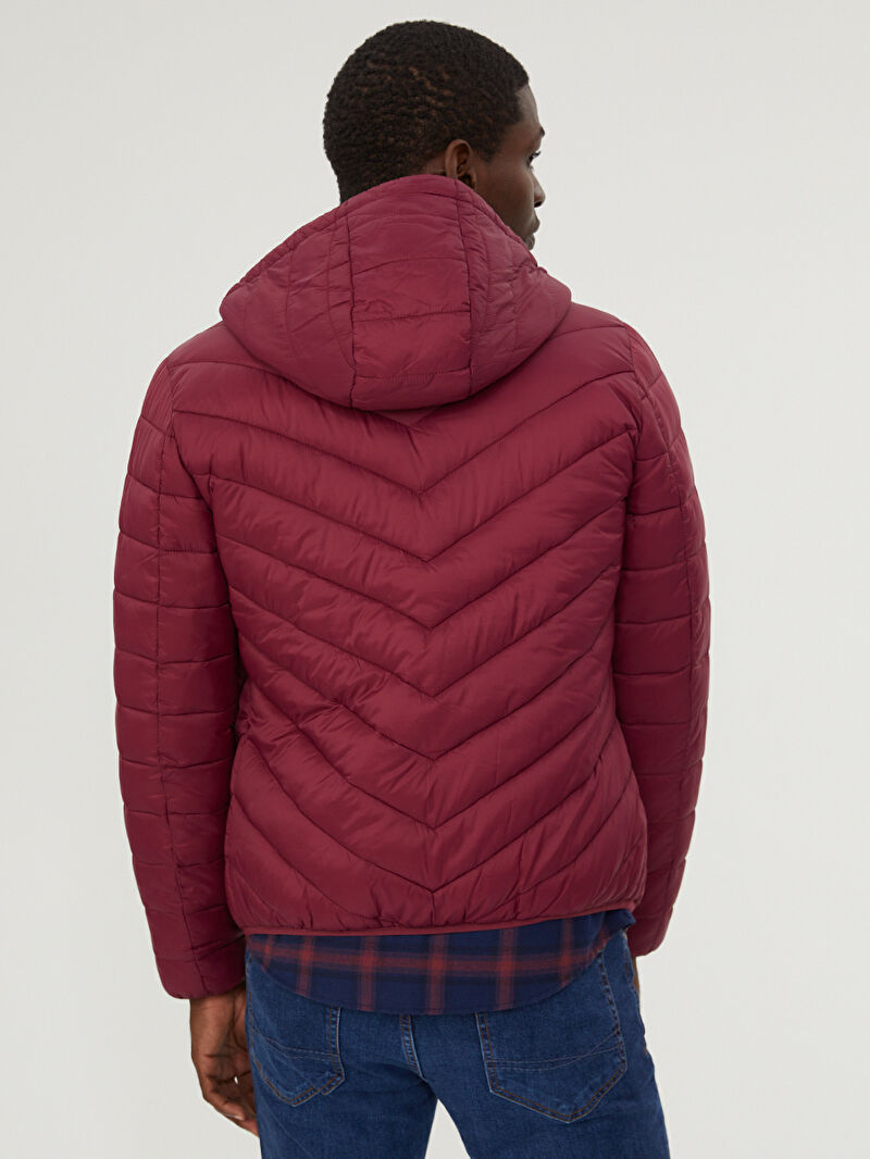 Regular Fit Erkek Mont