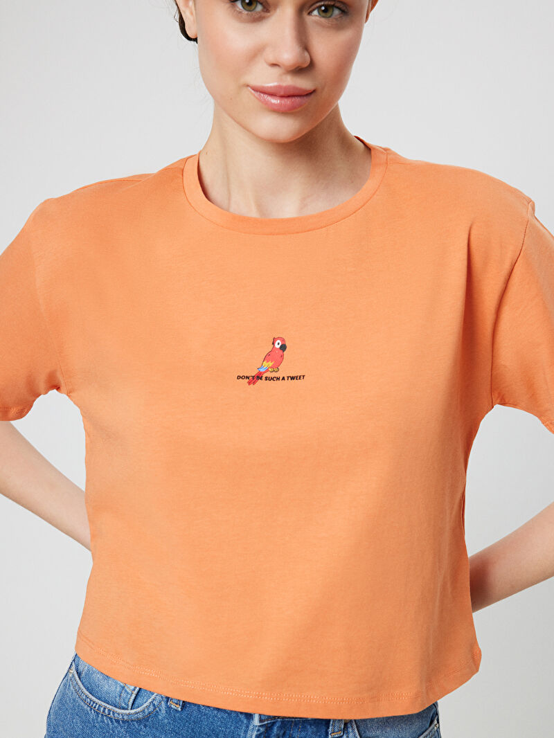 Regular Long Crop Kadın Tshirt K.kol