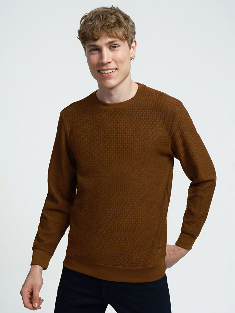 Regular Fit Erkek Sweatshirt
