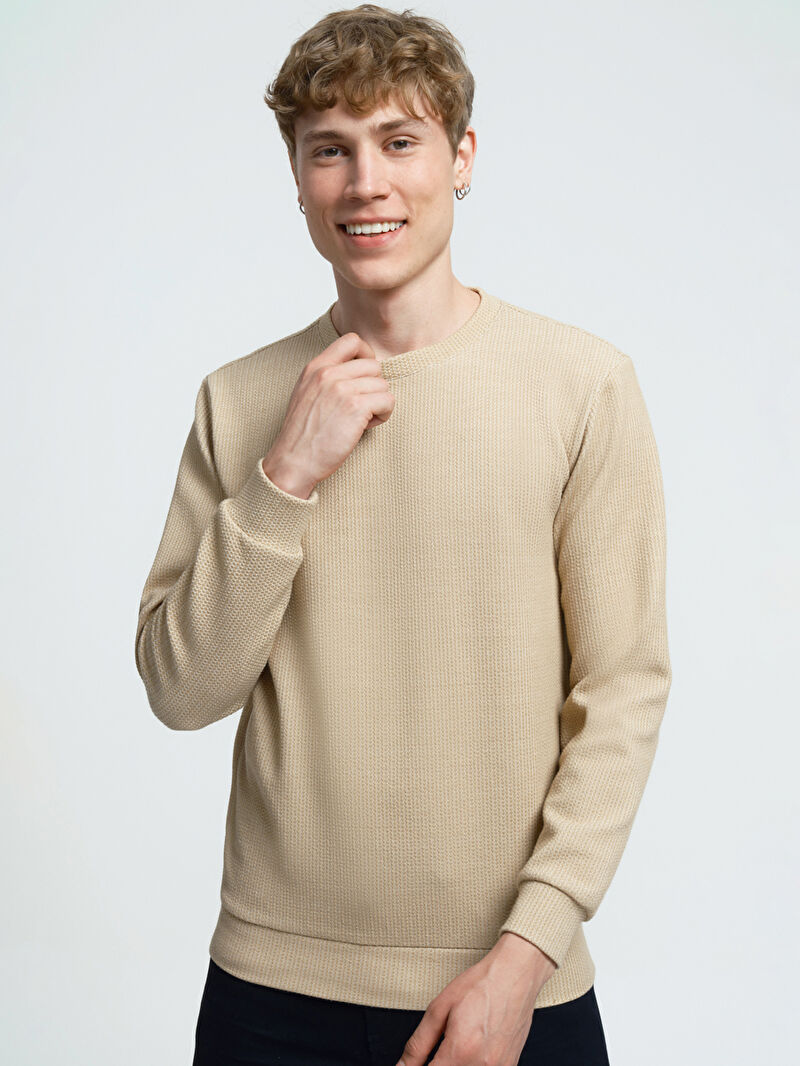 Regular Fit Erkek Sweatshirt