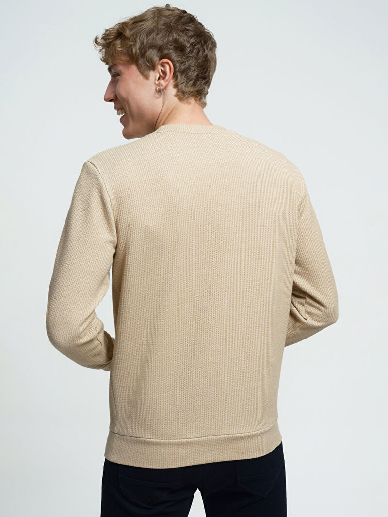 Regular Fit Erkek Sweatshirt