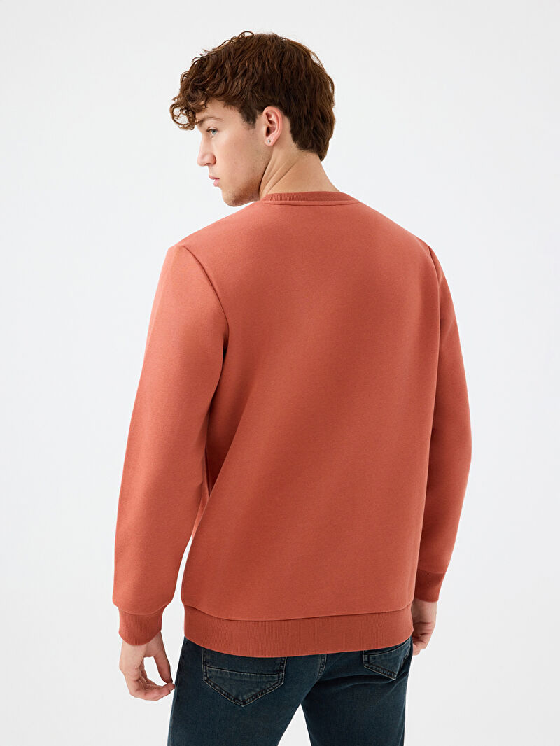 Regular Fit Erkek Sweatshirt