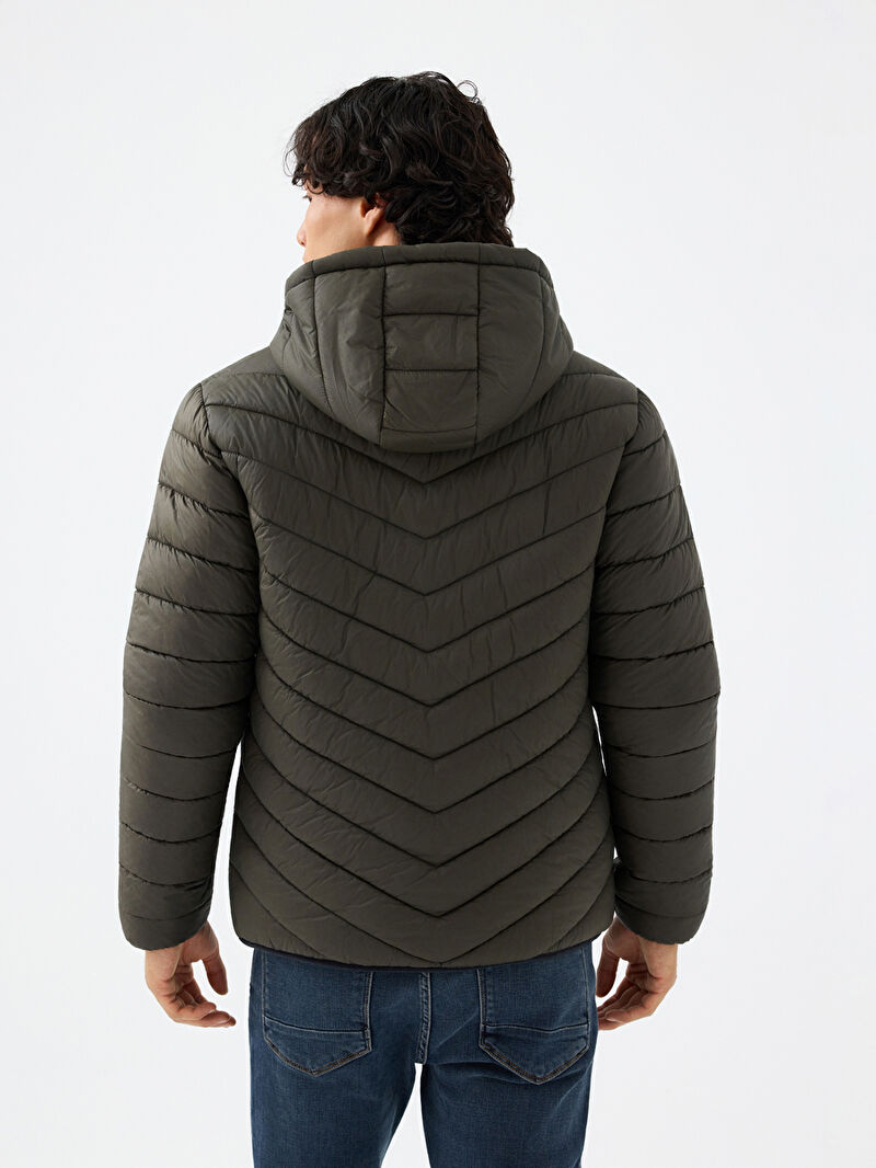 Regular Fit Erkek Mont