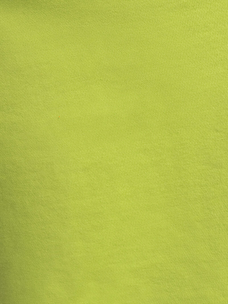 Regular Fit Erkek Şort