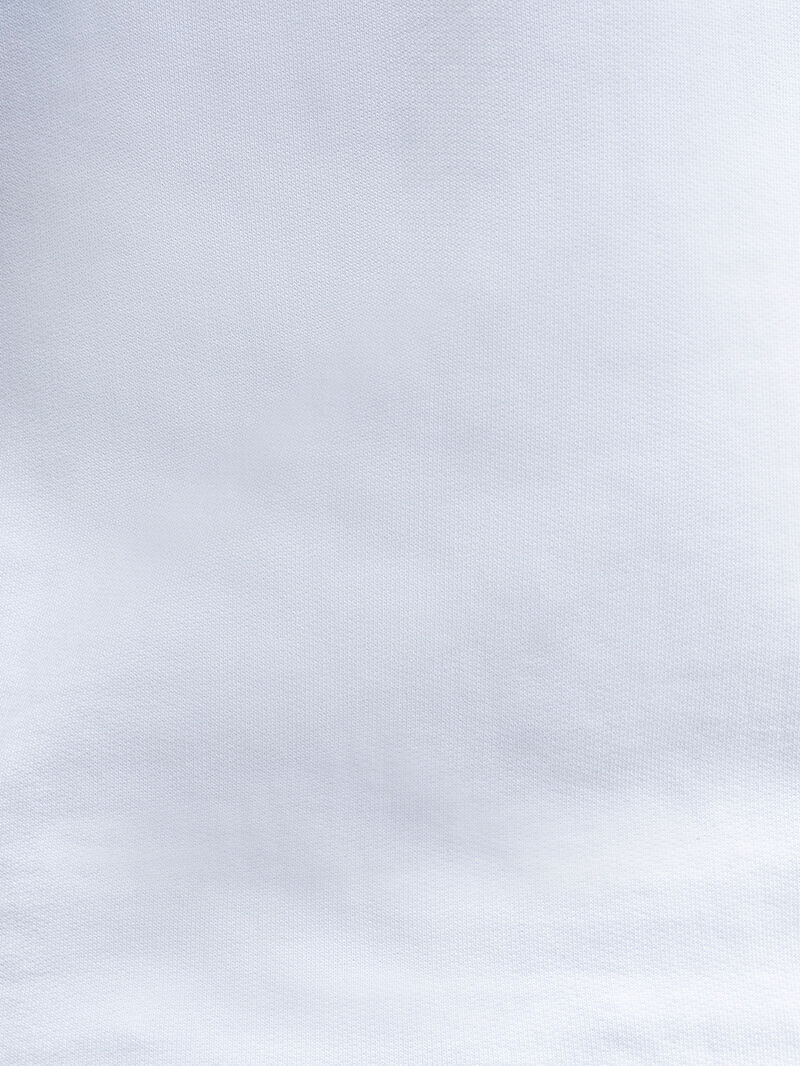 Regular Fit Erkek Sweatshirt