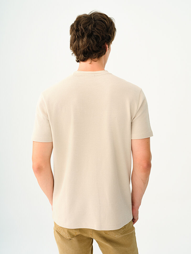 Regular Fit Erkek Tshirt K.kol