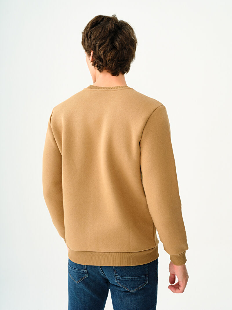 Regular Fit Erkek Sweatshirt