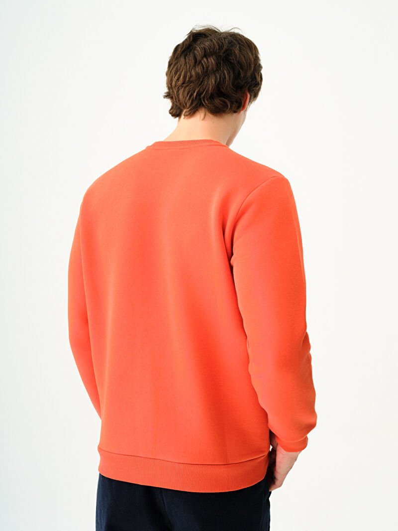 Regular Fit Erkek Sweatshirt