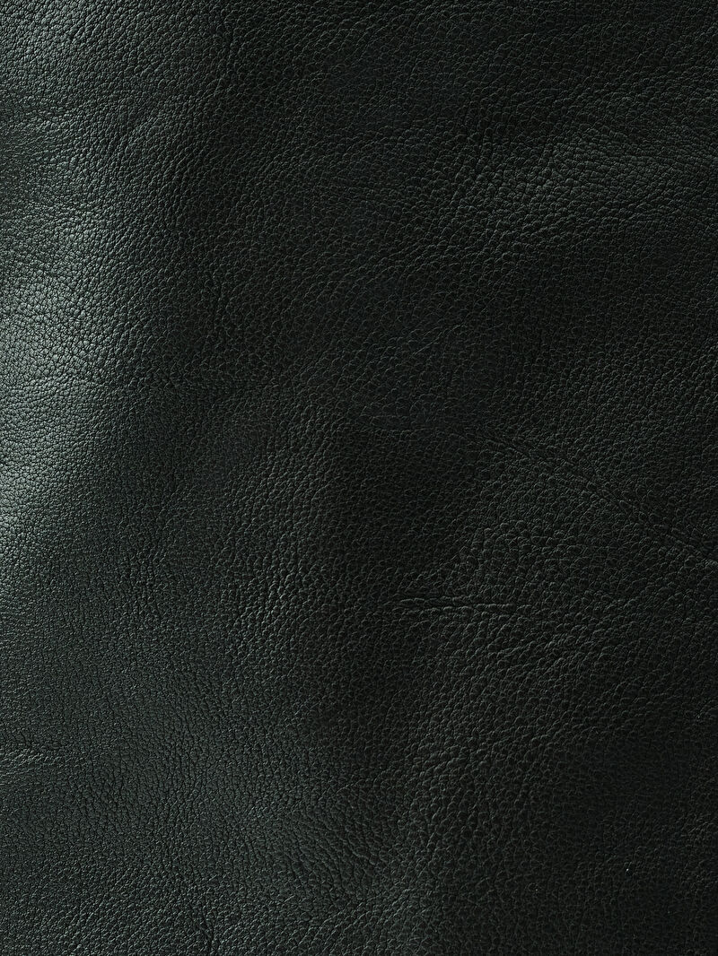 Regular Fit Erkek Mont Pu