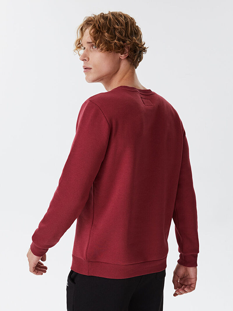 Regular Fit Erkek Sweatshirt