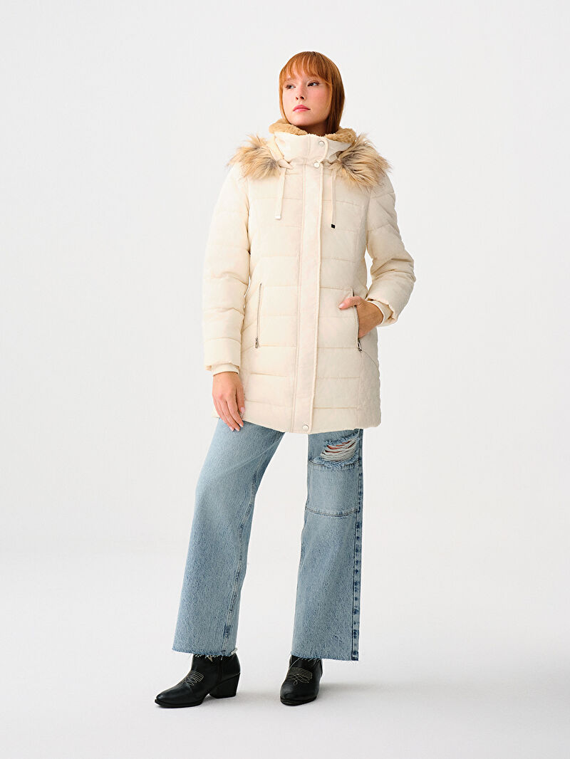 Regular Fit Kadın Kaban