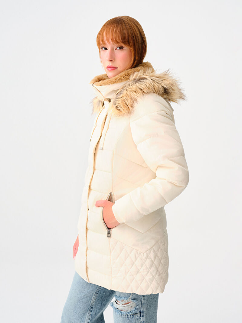 Regular Fit Kadın Kaban