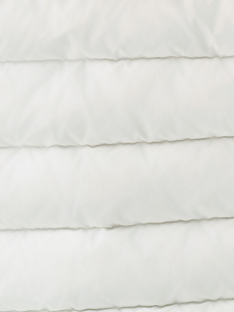 Regular Fit Kadın Mont