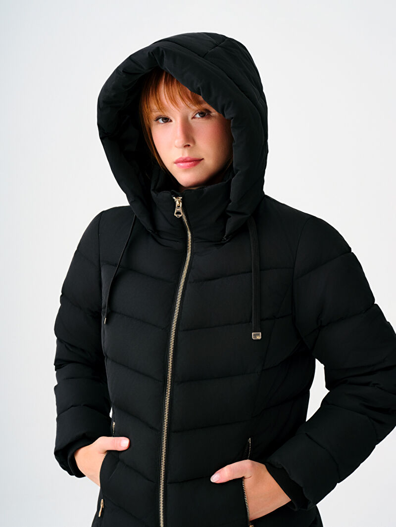 Regular Fit Kadın Kaban