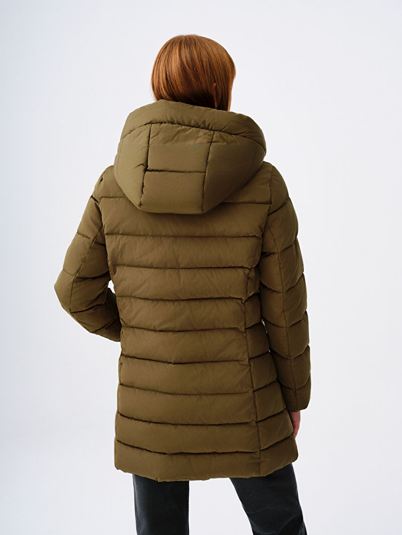 Regular Fit Kadın Kaban