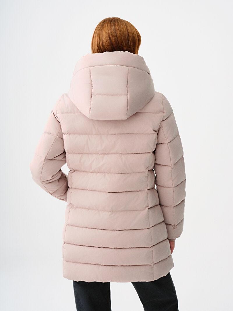 Regular Fit Kadın Kaban