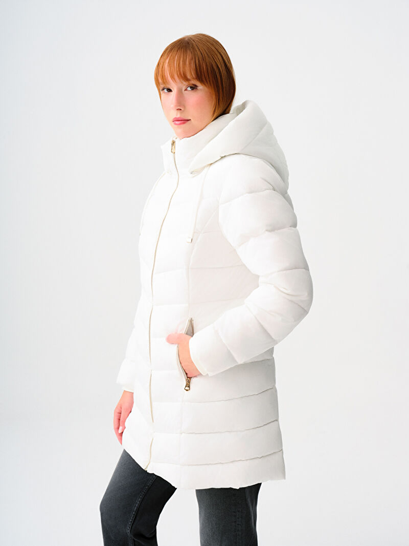 Regular Fit Kadın Kaban