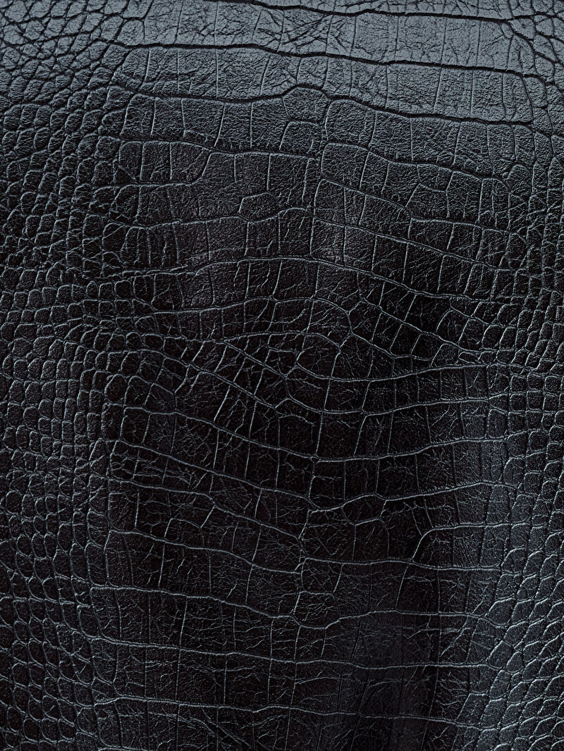 Regular Fit Kadın Ceket