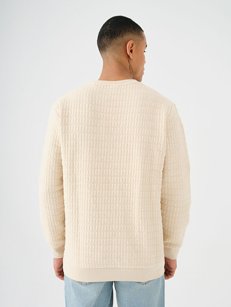 Regular Fit Erkek Sweatshirt