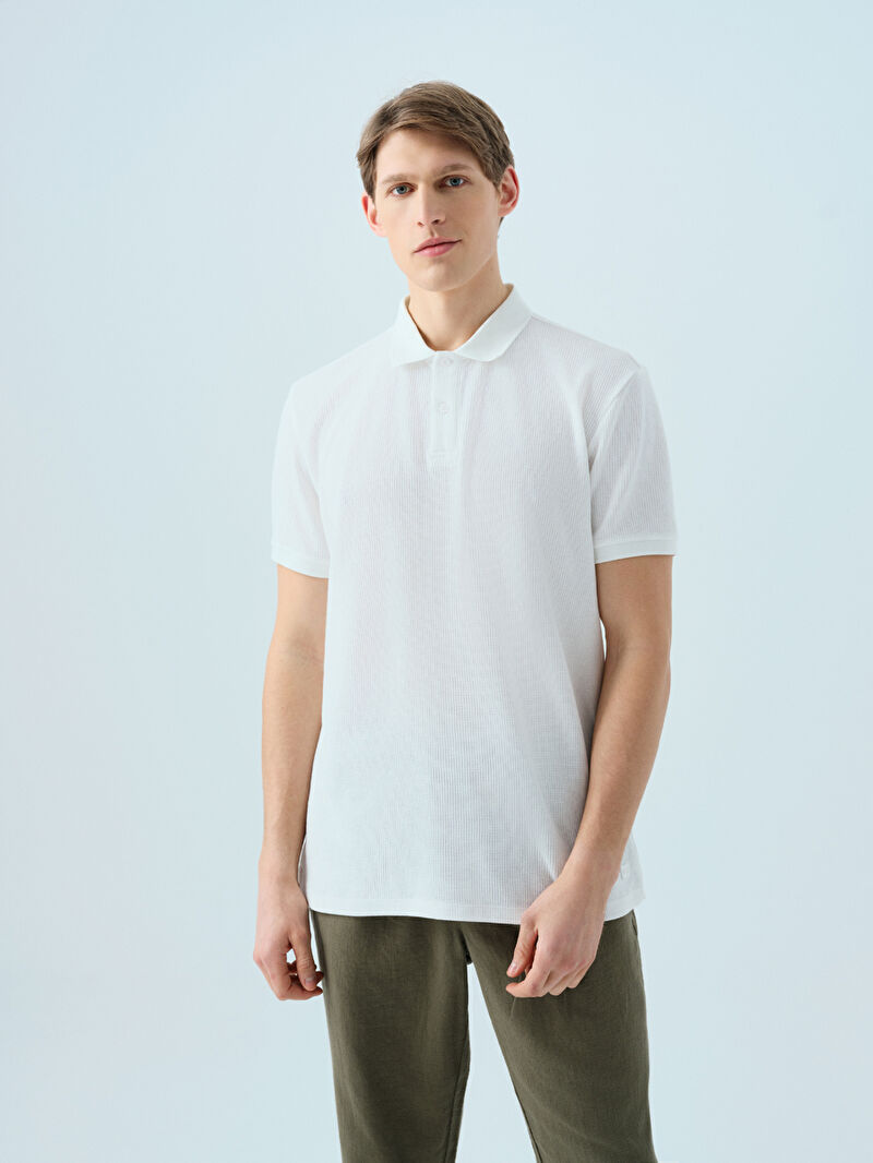 Regular Fit Erkek Polo K.kol