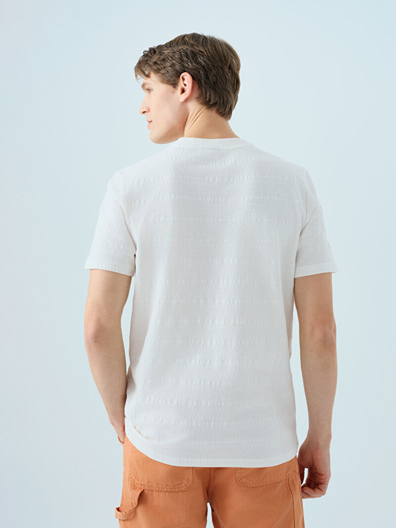 Regular Fit Erkek Tshirt K.kol