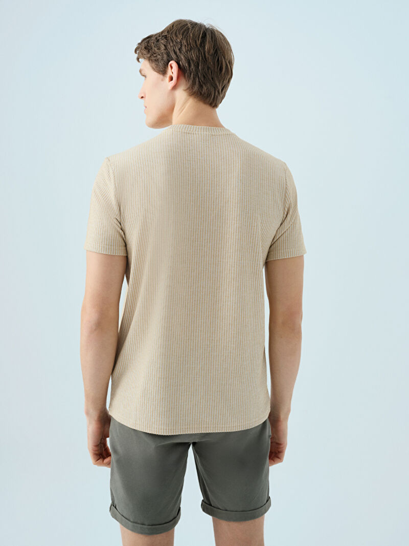 Regular Fit Erkek Tshirt K.kol