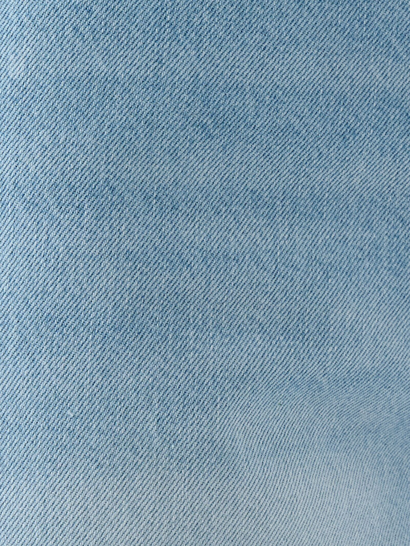 Regular Fit Kadın Şort